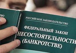 В России с 1 июля 2015 года начнут банкротить физлиц