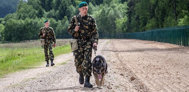 Турок пытался вывезти из Одессы новорожденного львенка