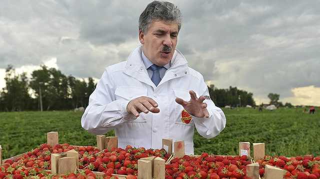 Павел Грудинин пробивается в федеральную политику