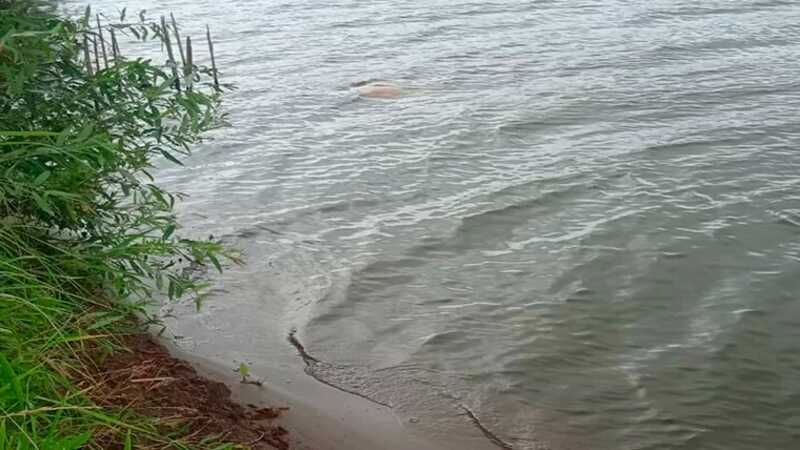 В Нижнекамском районе на озере утонул мужчина