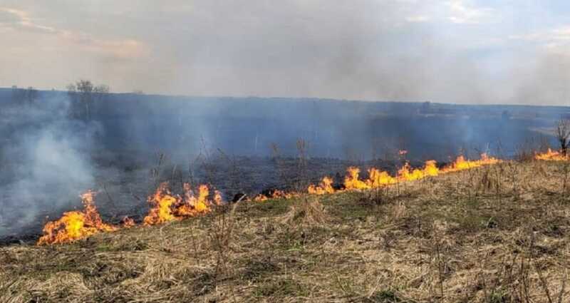 В Костромской области произошел лесной пожар