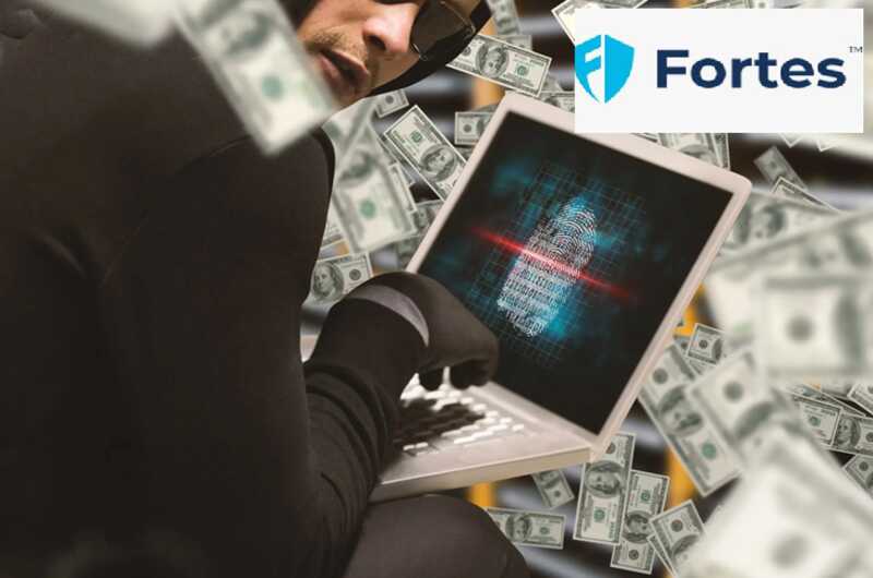 Fortes.pro: data protection or a front for money laundering?