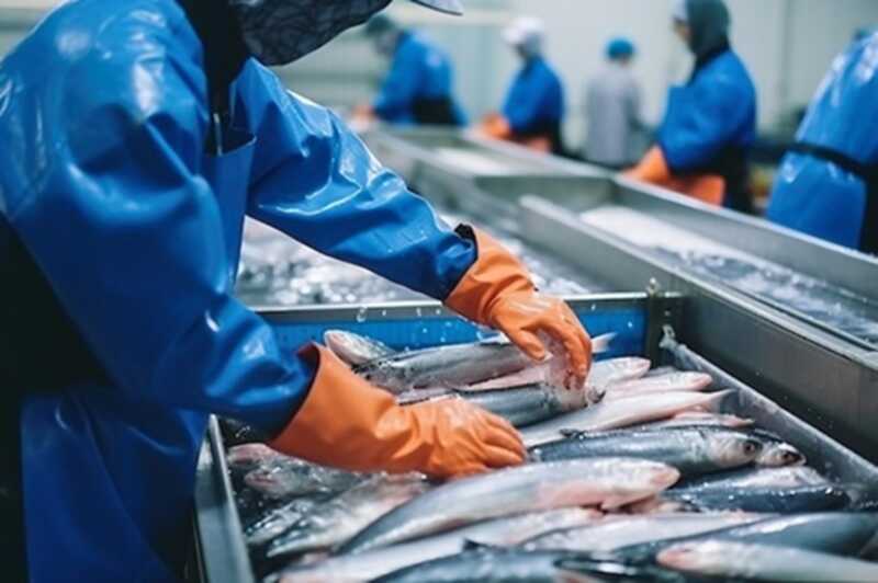 Норвегия ввела ограничения в отношении российских компаний, занимающихся рыболовством, из-за обвинений в шпионаже