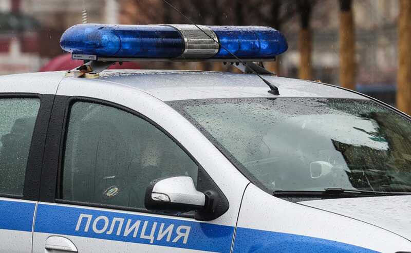 В Ленинградской области обнаружены тела супружеской пары и их убитых домашних животных