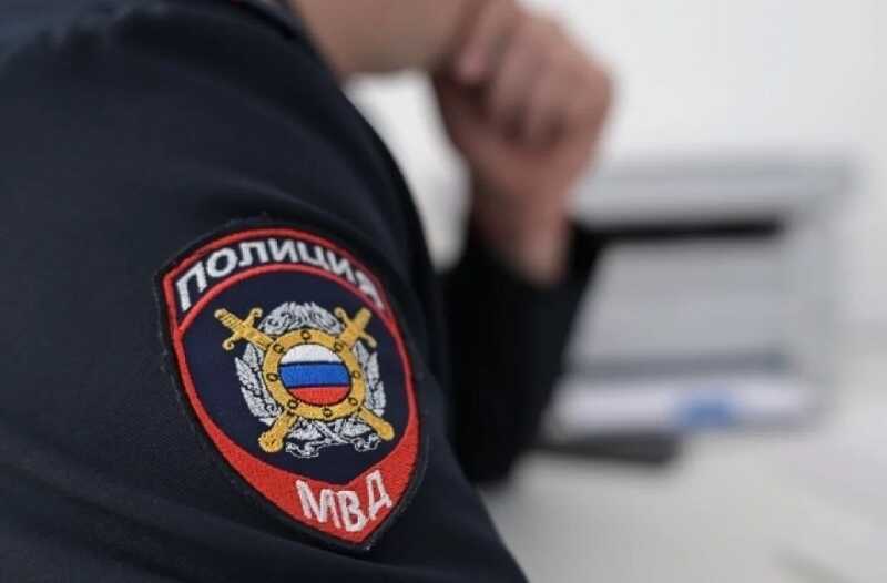 Полиция забрала у москвичей львов за нарушение правил содержания