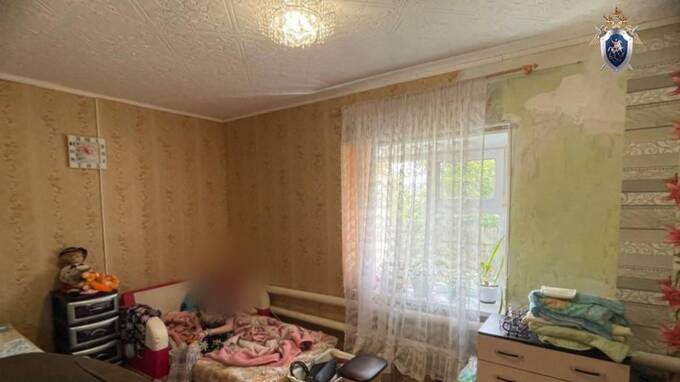 Появились новые детали в деле женщины, заказавшей убийство несовершеннолетней дочери uqidrdidetiqkqkmp