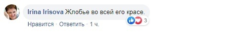 "Шрек, б*ядь": Алена Мозговая потроллила Стефанчука из-за тещиной квартиры